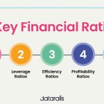 5 key Financial Ratios and How to use them - Datarails