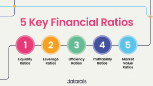 5 key Financial Ratios and How to use them - Datarails