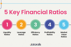 5 key Financial Ratios and How to use them - Datarails