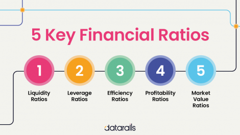 5 key Financial Ratios and How to use them - Datarails